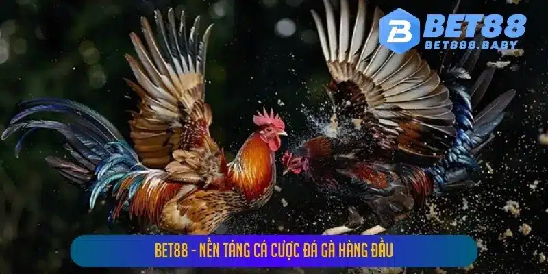 BET88 - Nền Tảng Cá Cược Đá Gà Hàng Đầu