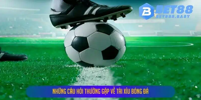 Những câu hỏi thường gặp về tài xỉu bóng đá