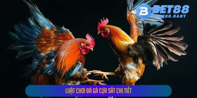 Tổng Hợp Các Mẹo Chơi Đá Gà Cựa Sắt Hiệu Quả